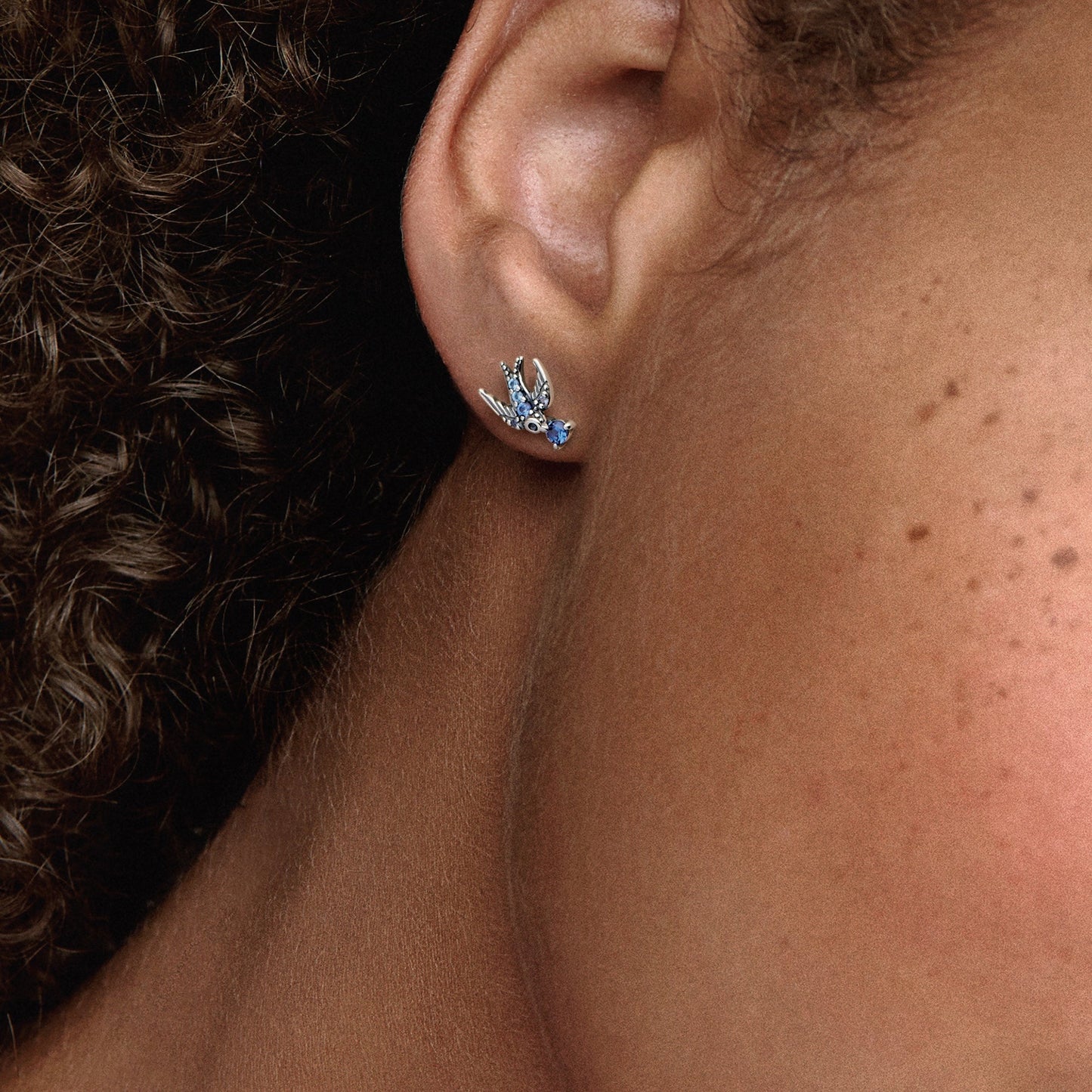 Sparkling Swallow Stud Earrings