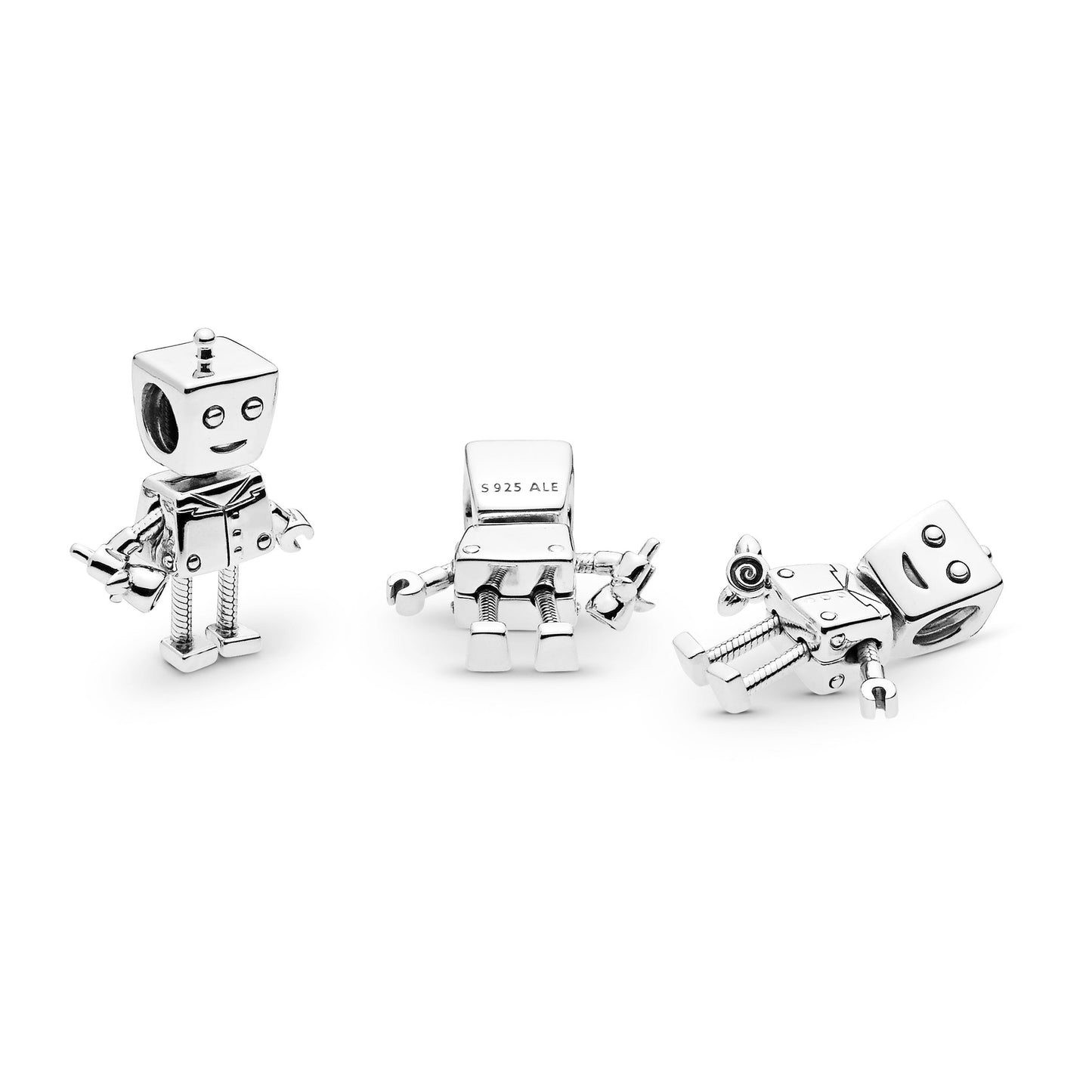 Rob Bot Charm