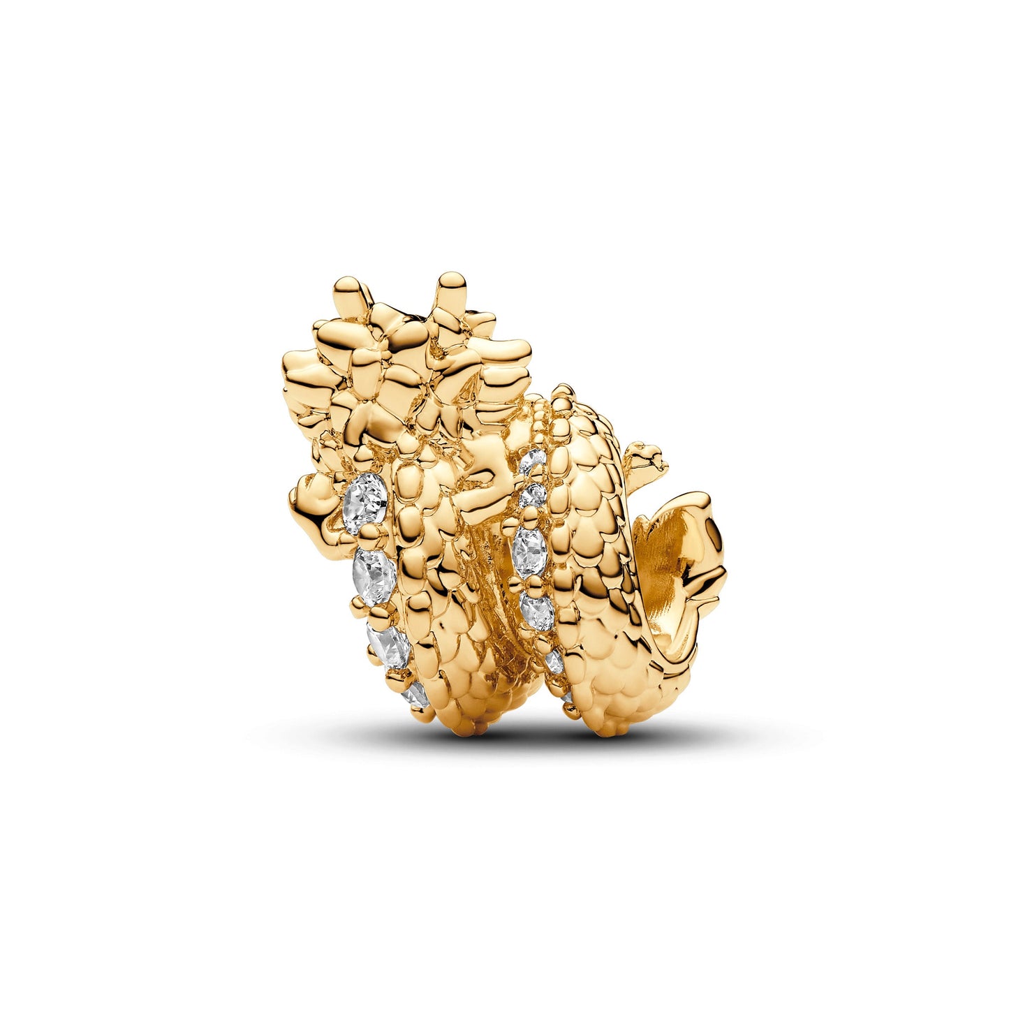 Chinese Year of the Dragon Charm