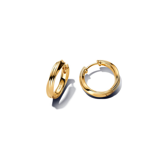 Twisted Hoop Earrings