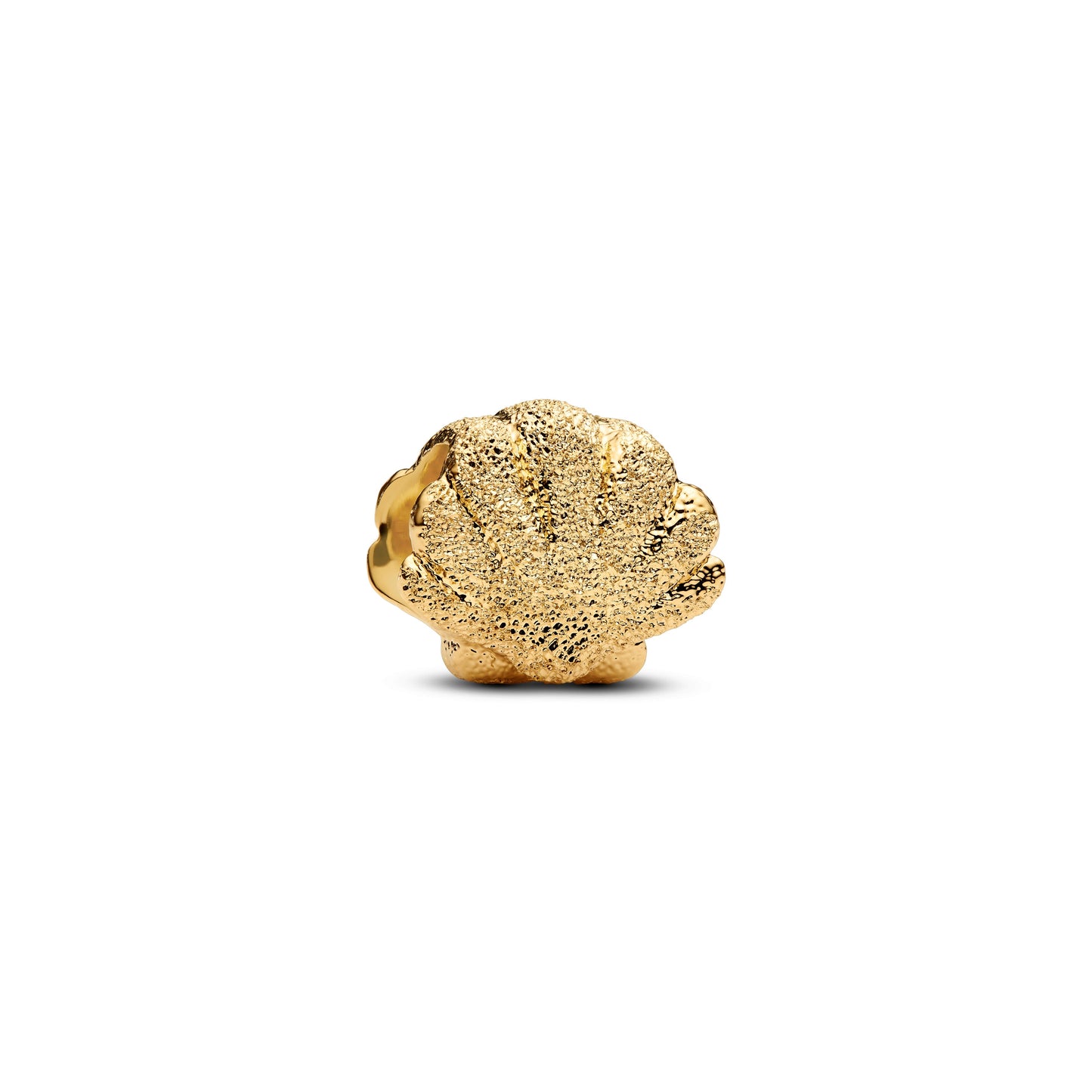 Textured Shell Mini Charm