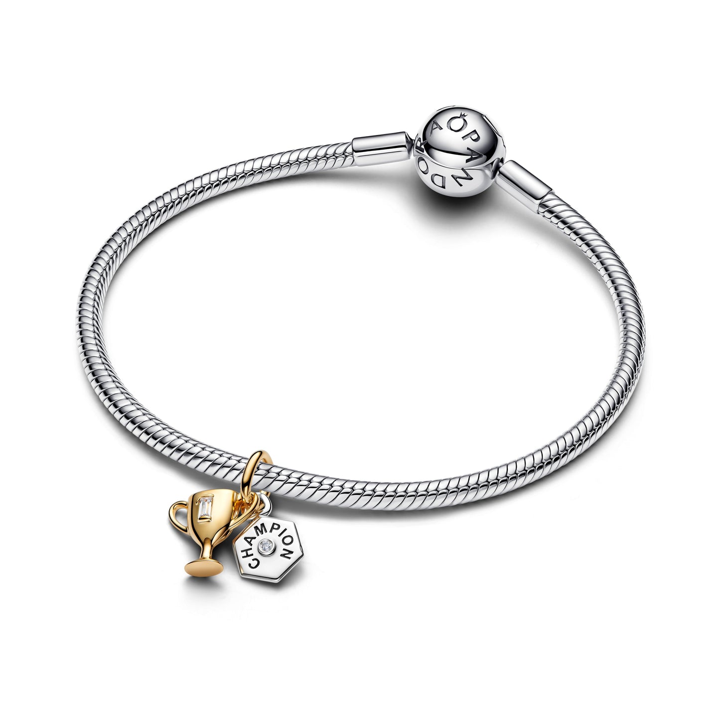 Engravable Trophy Double Dangle Charm