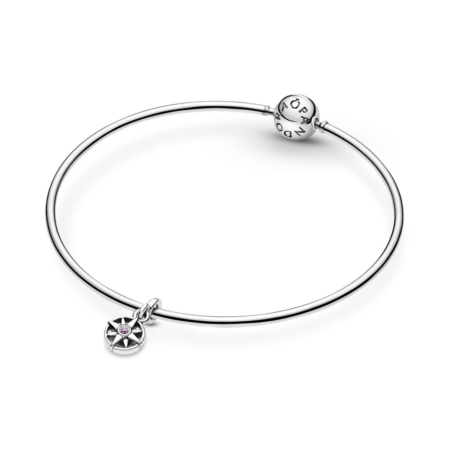 My Compass Dangle Charm