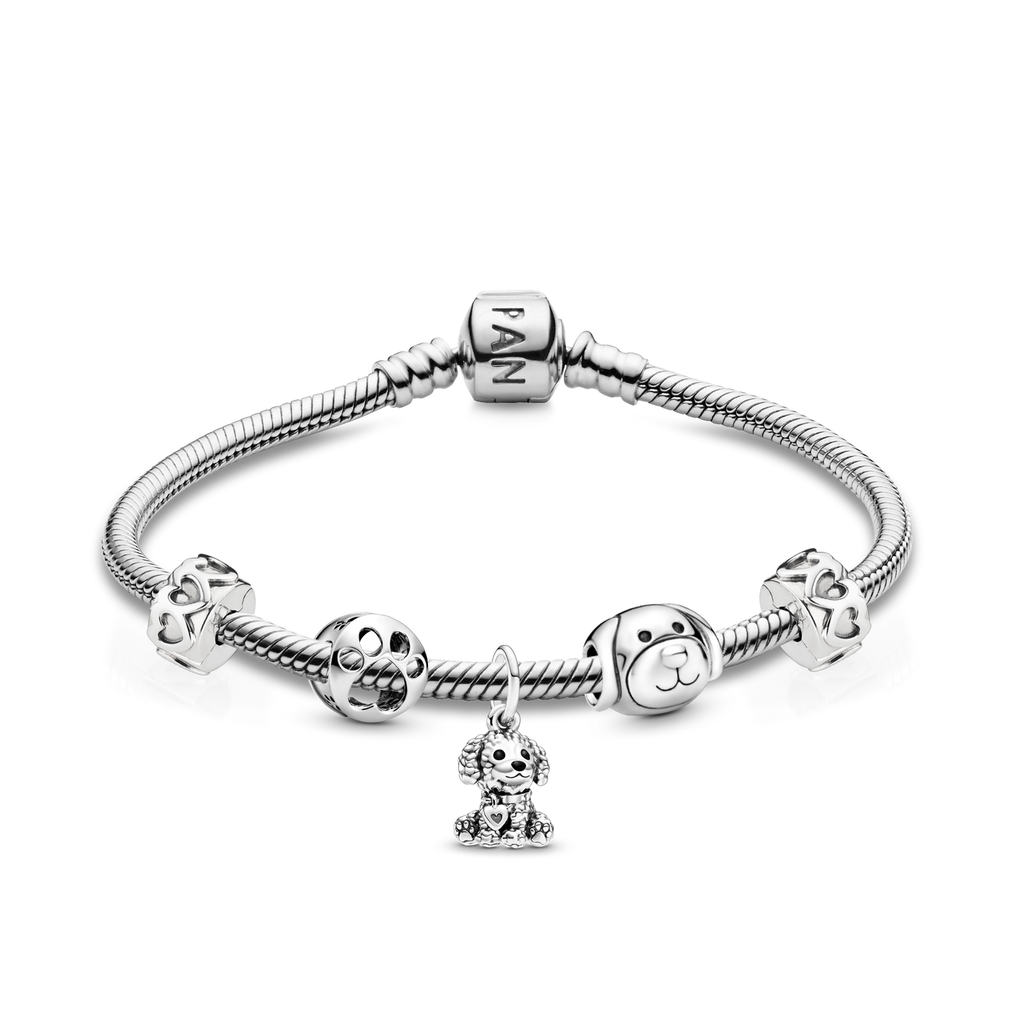 Pet Lover Bracelet and Charms Set